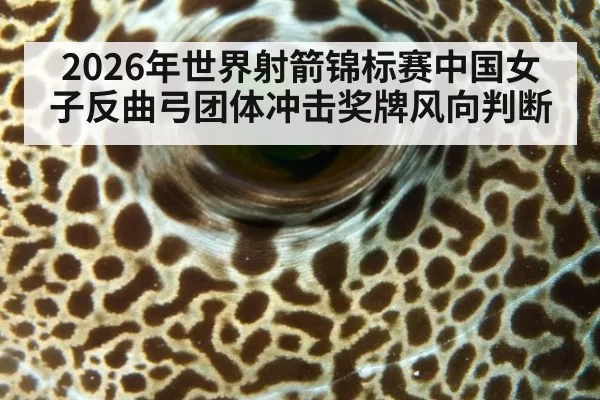 2026年世界射箭锦标赛中国女子反曲弓团体冲击奖牌风向判断